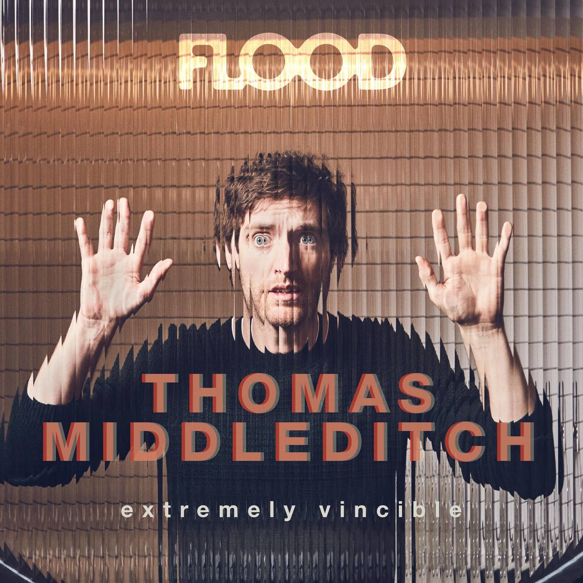 thomas middleditch x flood